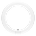 Ledvance Tube LED T9 Value Circulaire (EM/Direct 230V) 11W 1200lm - 830 Blanc Chaud | Équivalent 22W