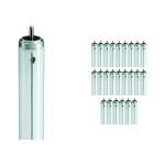Lot 25x Philips TL - X XL 40W - 640 Blanc Froid | 120cm