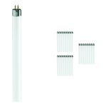Lot 25x Philips MASTER Super 80 T5 Short 8W - 830 Blanc Chaud | 29cm
