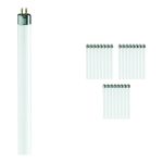 Lot 25x Philips T5 Short 6W - 640 Blanc Froid | 21cm