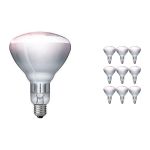 Lot 10x Philips  BR125 E27 Réflecteur 250W | Infrared 