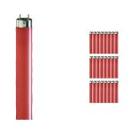Lot 25x Philips MASTER TL-D 36W - Rouge | 120cm