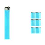 Lot 25x Philips MASTER TL-D 36W - Bleu | 120cm