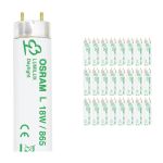 Lot 25x Osram T8 Lumilux 18W - 865 Lumière du Jour | 60cm