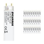 Lot 25x Sylvania Luxline Plus T8 18W - 830 Blanc Chaud | 60cm