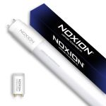 Noxion Avant Tube LED T8 Extreme (EM Mains) High Output 17W 2700lm - 865 Lumière Du Jour | 150cm - Équivalent 58W