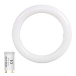 Noxion Tube LED T9 Avant Circulaire (EM/Direct 230V) 12W 1200lm - 840 Blanc Froid | Équivalent 22W