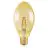 Ledvance Vintage 1906 LED E27 Boule Dorée 4W 470lm - 824 Blanc Très Chaud | Équivalent 40W
