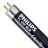 Philips T5 8W - Blacklight Bleu | 29cm