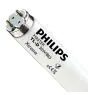 Philips MASTER TL-D Xtreme 36W - 865 Lumière Du Jour | 120cm