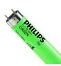 Philips MASTER TL-D 58W - Vert | 150cm