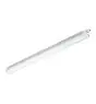 Philips Réglette LED Étanche CoreLine WT120C G2 35W 4000lm - 840 Blanc Froid | 120cm - Dali Dimmable - Éclairage De Secours 3 Heures 