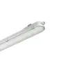Philips Réglette LED Étanche CoreLine WT120C G2 49W 6000lm - 840 Blanc Froid | 150cm - Dali Dimmable - Éclairage De Secours 3 Heures 