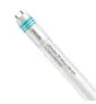 Philips Tube LED T8 MASTER Value (UN) Ultra Output 15.5W 2500lm - 840 Blanc Froid | 120cm - Équivalent 36W