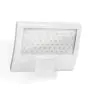 Steinel XLED Curved LED Projecteur avec Détecteur Blanc