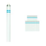 Lot 25x Philips MASTER TL-D Secura 58W - 840 Blanc Froid | 150cm