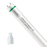 Philips Tube LED T8 MASTER (EM/Direct 230V) Ultra Efficiency 13.5W 2500lm - 865 Lumière Du Jour | 120cm - Équivalent 36W