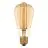 Ledvance Vintage 1906 LED E27 Edison Dorée 5.8W 470lm - 822 Blanc Très Chaud | Dimmable - Équivalent 40W