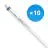 Lot 10x Philips Tube LED T5 MASTER (HF) High Efficiency 8W 1050lm - 840 Blanc Froid | 55cm - Équivalent 14W