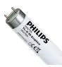 Philips MASTER TL - D Graphica 58W - 952 Blanc Froid | 150cm