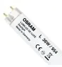 Osram Lumilux De Luxe T8 36W - 954 Blanc Froid | 120cm