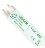 Osram T8 Lumilux 16W - 840 Blanc Froid | 72cm