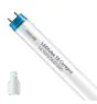 Philips Tube LED T8 CorePro (EM/Direct 230V) Standard Output 14.5W 1600lm - 865 Lumière Du Jour | 120cm - Équivalent 36W