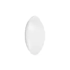 Ledvance Surface Circulaire 250 13W 830 920lm Blanc IP44 | Blanc Chaud