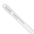 Ledvance Tube LED T8 Performance (HF) High Output 20W 3100lm - 865 Lumière du Jour | 150cm - Équivalent 58W