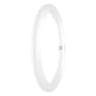 Ledvance Tube LED T9 Value Circulaire (EM/Direct 230V) 18.3W 2200lm - 840 Blanc Froid | Équivalent 32W