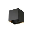 D'Lite Elingen Applique Murale Aluminium Noir Up & Down 2.9W 170lm - 830 Blanc Chaud | À Piles - Détecteur De Lumière