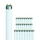 Lot 25x Philips MASTER TL-D Super 80 15W - 840 Blanc Froid | 44cm