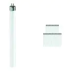 Lot 25x Philips MASTER Super 80 T5 Short 8W - 840 Blanc Froid | 29cm