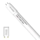 Noxion Tube LED T8 Avant (EM/Direct 230V) Standard Output 22W 2300lm - 865 Lumière Du Jour | 150cm - Équivalent 58W