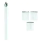 Lot 25x Philips T5 Short 6W - 640 Blanc Froid | 21cm