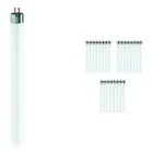 Lot 25x Philips T5 Short 13W - 640 Blanc Froid | 52cm