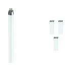 Lot 10x Philips MASTER TL5 HE 14W - 865 Lumière du Jour | 55cm