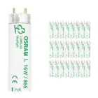 Lot 25x Osram T8 Lumilux 15W - 865 Lumière du Jour | 43cm