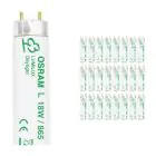 Lot 25x Osram T8 Lumilux 18W - 865 Lumière du Jour | 60cm