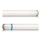 Philips TL-D Secura 18W - Noirlight | 60cm