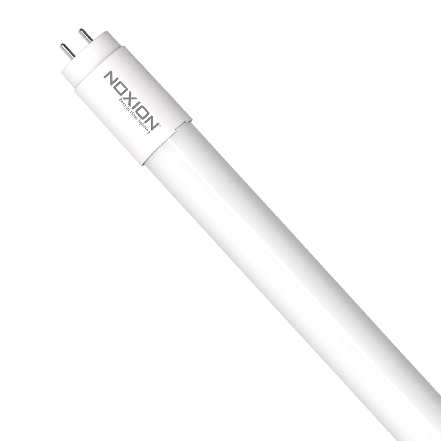 Noxion T8 LED TL Buizen