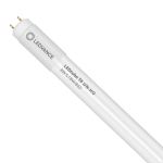 Ledvance LED Buis T8 Value (UN) High Output 8W 900lm - 865 Daglicht | 60cm - Vervangt 18W