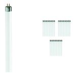 Voordeelpak 25x Philips TL Mini 13W 33-640 - 52cm