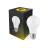 LED Lamp E27 Peer Mat 4.9W 470lm - 830 Warm Wit | Vervangt 40W