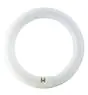 Osram T9 Lumilux Circline 32W - 840 Koel Wit | 30cm