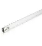Philips T8 UV - C 36W - Ultraviolet | 120cm