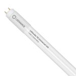 Ledvance LED Buis T8 Performance (UN) High Output 14W 2100lm - 865 Daglicht | 120cm - Vervangt 36W