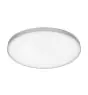 Ledvance LED Plafondlamp Planon Zonder frame Rond 450 29W 2700lm - 830 Warm Wit | 450mm - IP20