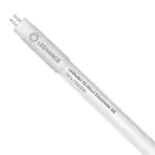 Ledvance LED Buis T5 Value Short (HF) High Efficiency 7W 770lm - 830 Warm Wit | 52cm - Vervangt 13W