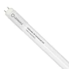 Ledvance LED Buis T8 Performance (UN) High Output 14W 2100lm - 865 Daglicht | 120cm - Vervangt 36W